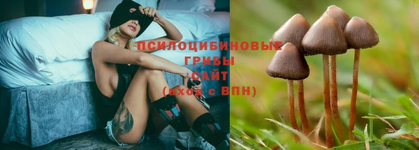 jwh Алексеевка