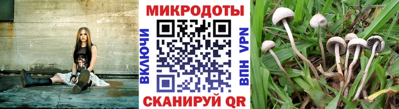 Галлюциногенные грибы ЛСД OMG ССЫЛКА Анива купить